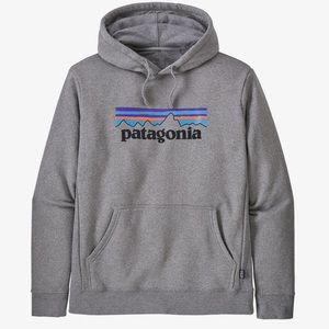 New Patagonia Gray Hoodie
